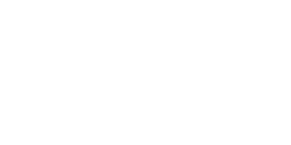 LOGO (4) FLASHPOINT FIREWORKS logo featuring a stylized graphic of a bursting firework above the text.